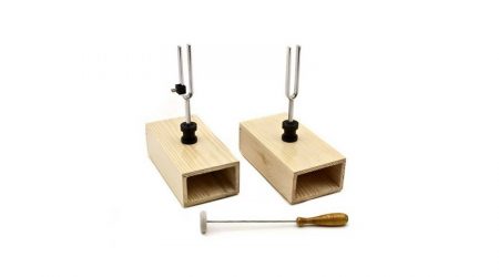 Couple of Tuning forks